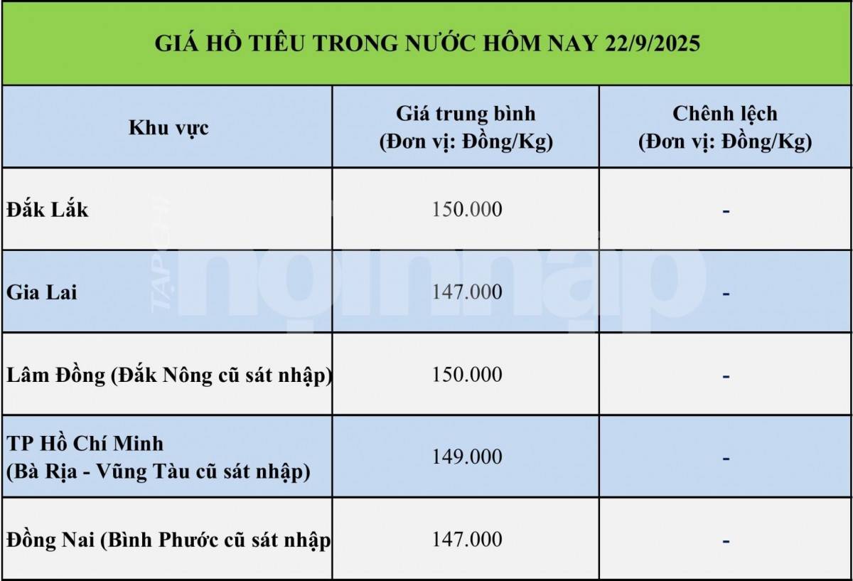 Giá tiêu hôm nay 21/9: Giá tiêu neo cao, xuất khẩu phân hóa