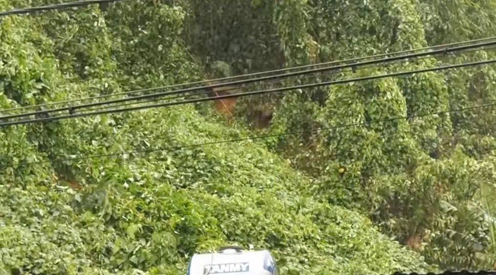 Thanh Hóa: 16 hộ dân xã Linh Sơn vẫn phải đi sơ tán kéo dài do sạt lở