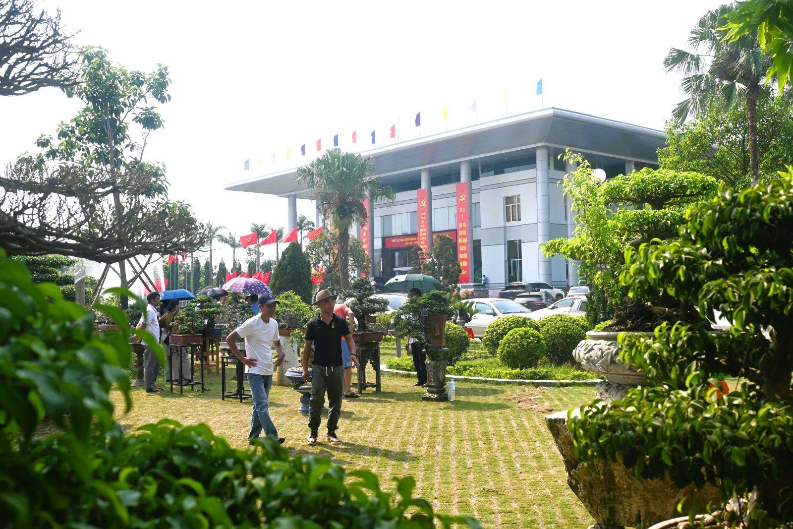 Không gian Triển lãm cây cảnh tại Trung tâm hội nghị tỉnh