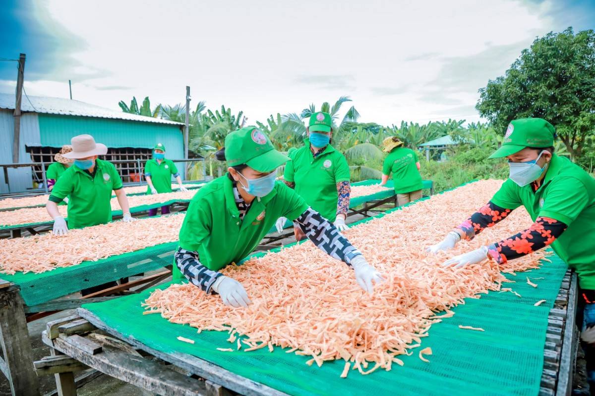 Đề xuất tăng mức vay hỗ trợ tạo việc làm: Cá nhân lên 200 triệu, doanh nghiệp lên 10 tỷ đồng