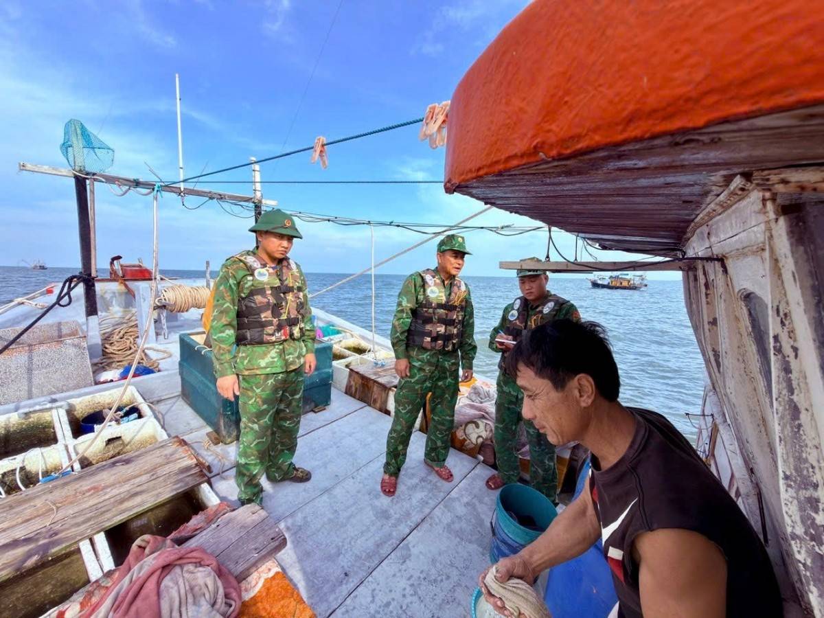 Hơn 8.000 du khách trên vịnh Hạ Long được đưa về bờ trước siêu bão Ragasa