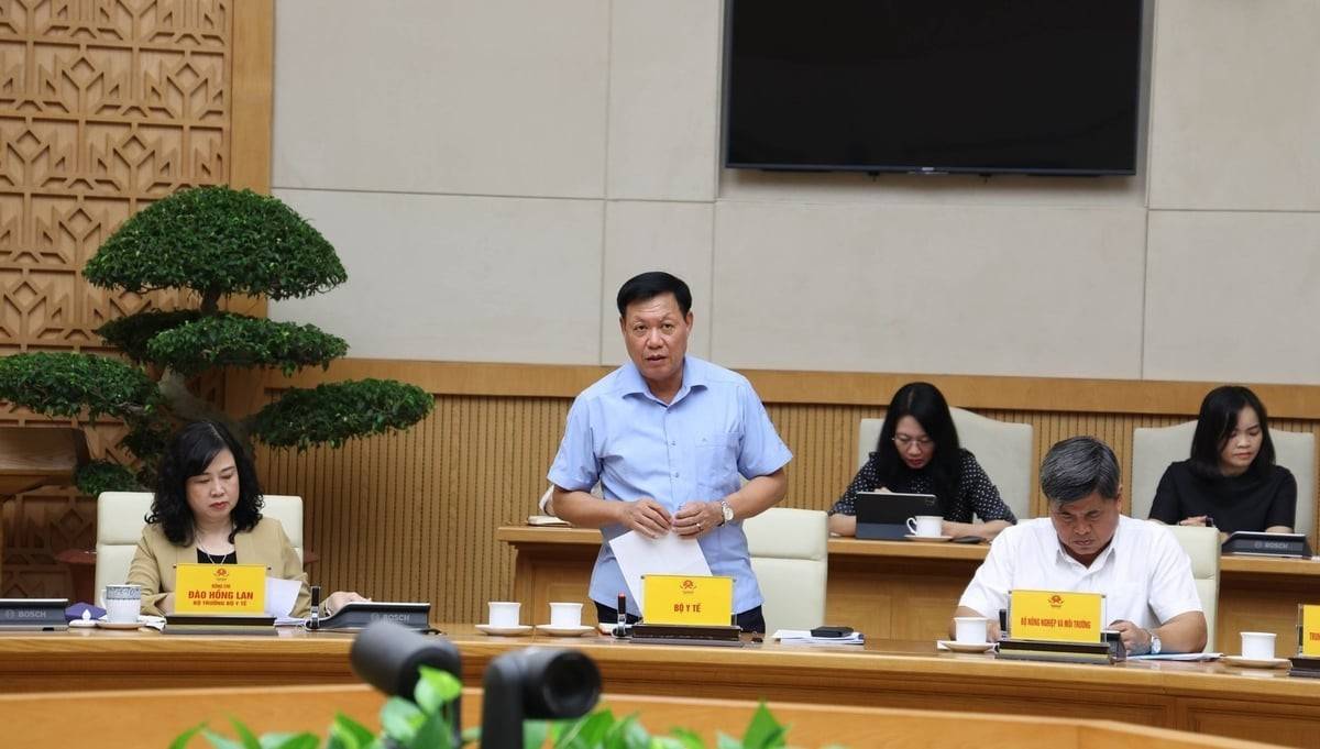 Đại diện Bộ Y tế phát biểu ý kiến tại cuộc họp Ban Chỉ đạo liên ngành Trung ương về an toàn thực phẩm. Ảnh: VGP.