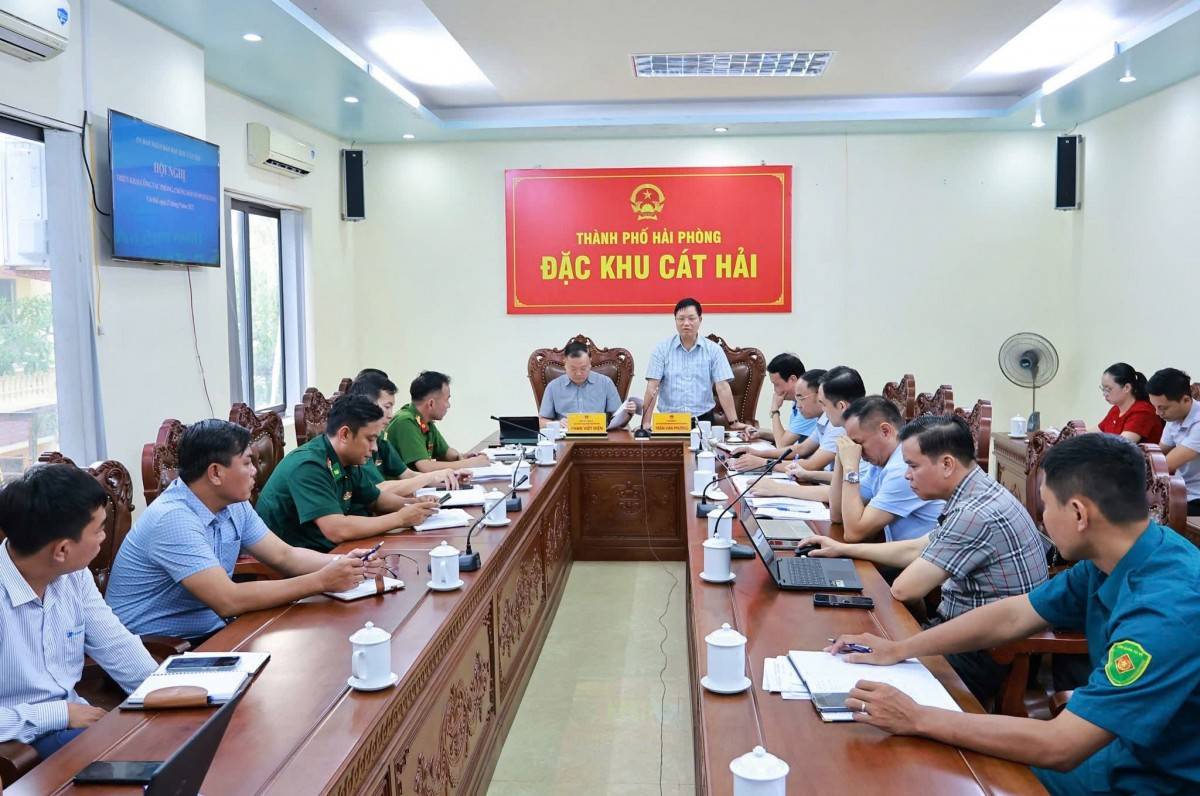 Hải Phòng khẩn cấp cấm hoạt động trên biển và cửa sông để ứng phó bão số 9