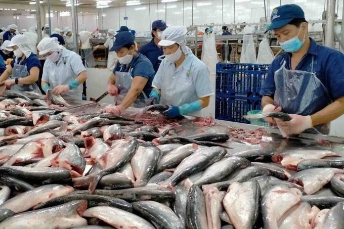 Doanh nghiệp Việt Nam trước cơ hội và thách thức từ điều chỉnh chính sách thương mại EU