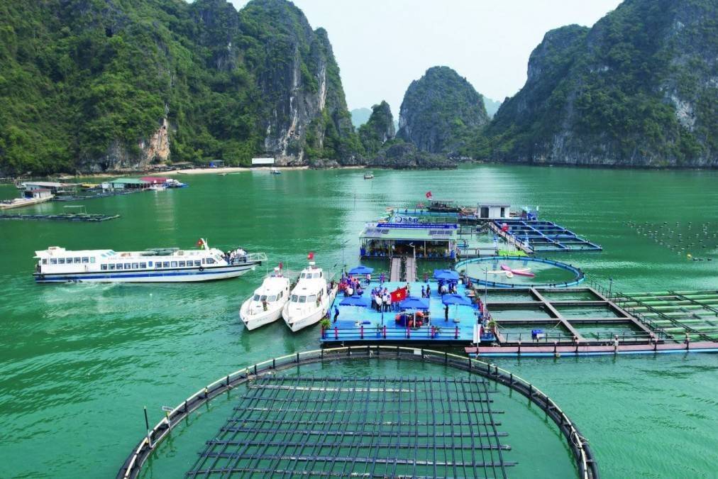 Ngân hàng Nhà nước nâng quy mô tín dụng nông, lâm, thủy sản lên 185.000 tỷ đồng