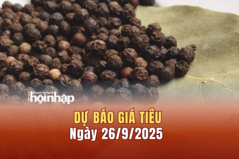 Dự báo giá tiêu 26/9: Tiêu trong nước tăng mạnh, xác lập mốc mới