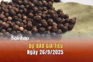 Dự báo giá tiêu 26/9: Tiêu trong nước tăng mạnh, xác lập mốc mới