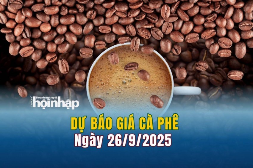 Dự báo giá cà phê 26/9/2025