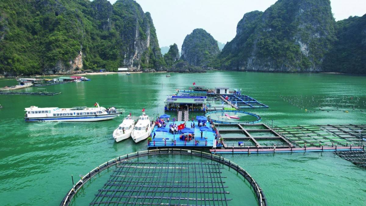 Ngân hàng Nhà nước nâng quy mô tín dụng nông, lâm, thủy sản lên 185.000 tỷ đồng