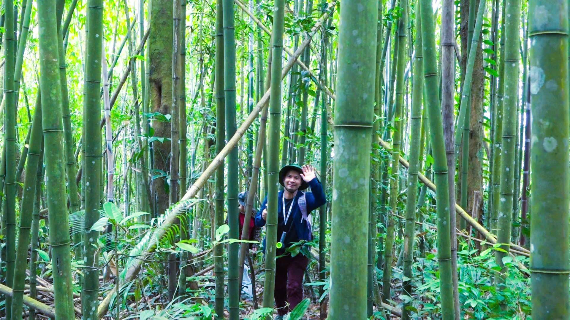 Bài 2: Núi Con Voi - Đánh thức rừng vầu, phát triển du lịch sinh thái và làng nghề