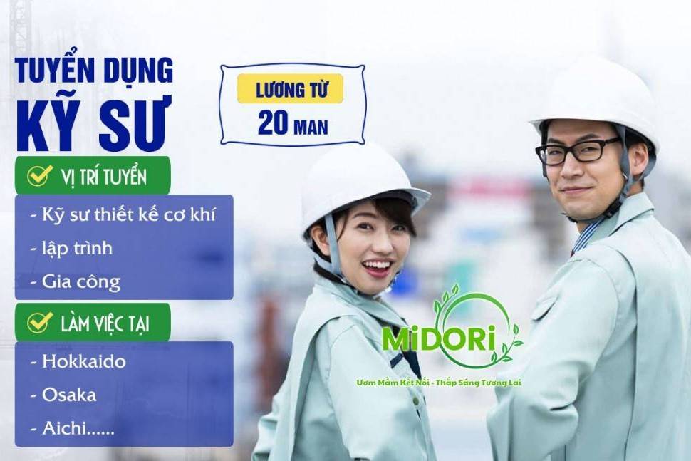 Hợp tác quốc tế MIDORI Việt Nam bị xử phạt 180 triệu đồng