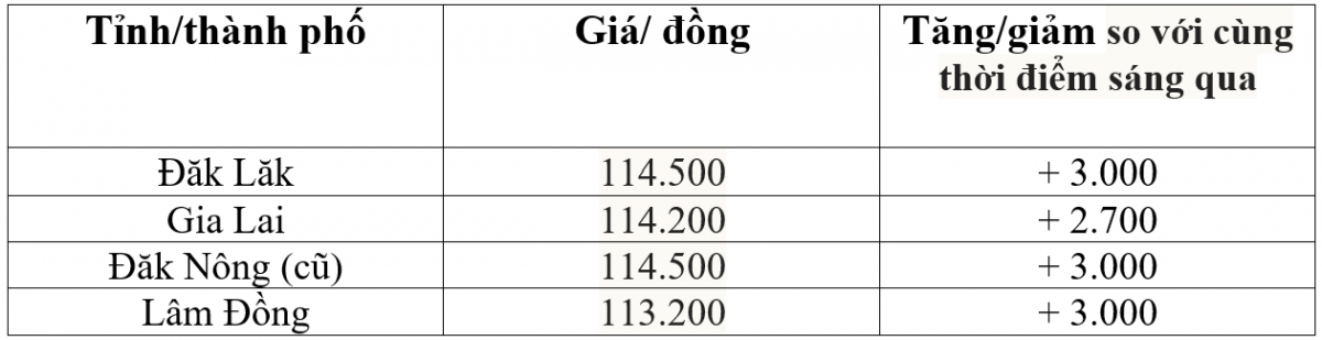 Bảng giá cà phê trong nước hôm nay 26/9/2025