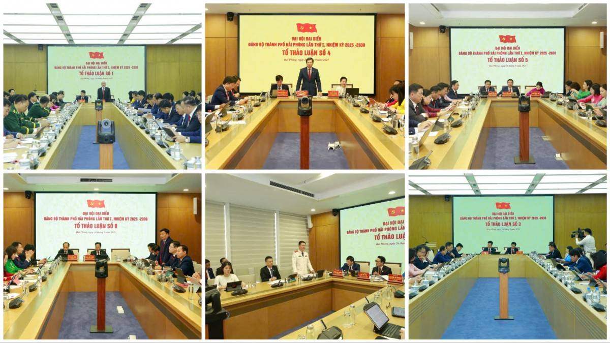 Tổ thảo luận đại hội của thành phố 