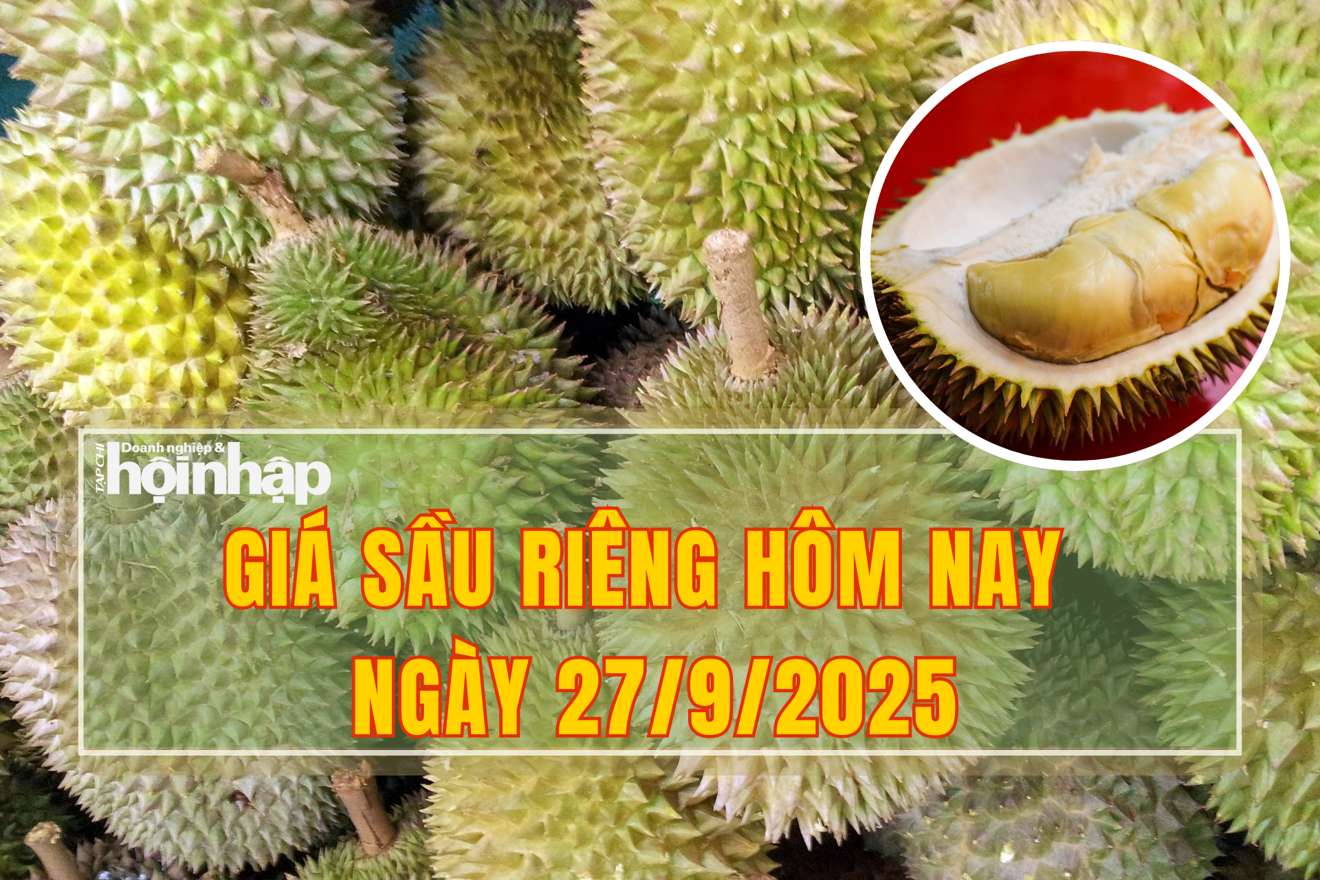 Giá sầu riêng hôm nay 27/9: Sầu riêng Thái giữ đỉnh 115.000 đồng/kg