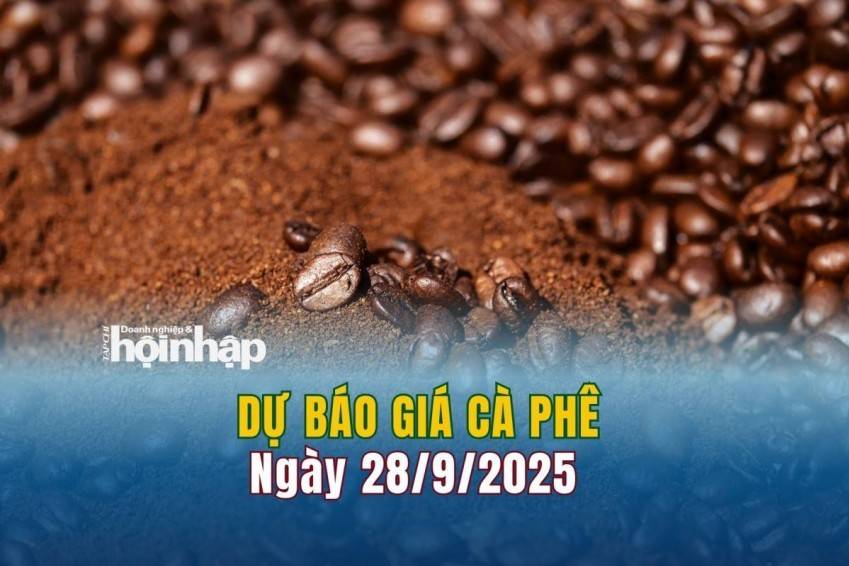 Dự báo giá cà phê 28/9: Cà phê trong nước tăng "vọt"