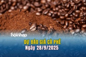 Dự báo giá cà phê 28/9: Cà phê trong nước tăng "vọt"