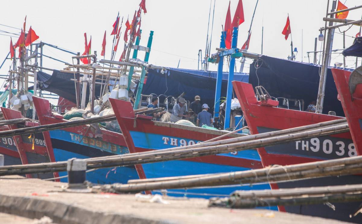 Thanh Hóa: Ban hành Công điện về chủ động ứng phó với bão số 10, lệnh cấm biển từ đêm 27/9