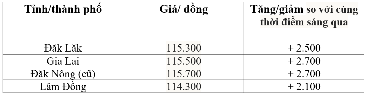 Bảng giá cà phê trong nước hôm nay 27/9/2025