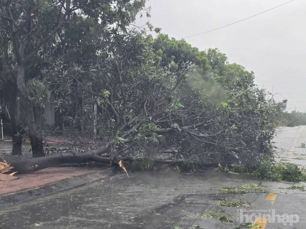 Bão số 10 quần thảo nhiều giờ, nhiều tỉnh miền Trung “tan hoang”