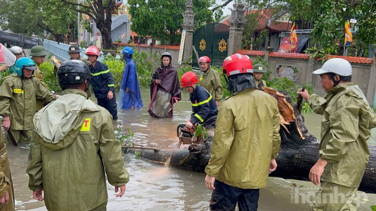 Thủ tướng Chính phủ chỉ đạo khẩn cấp tập trung cứu nạn, khắc phục hậu quả bão số 10