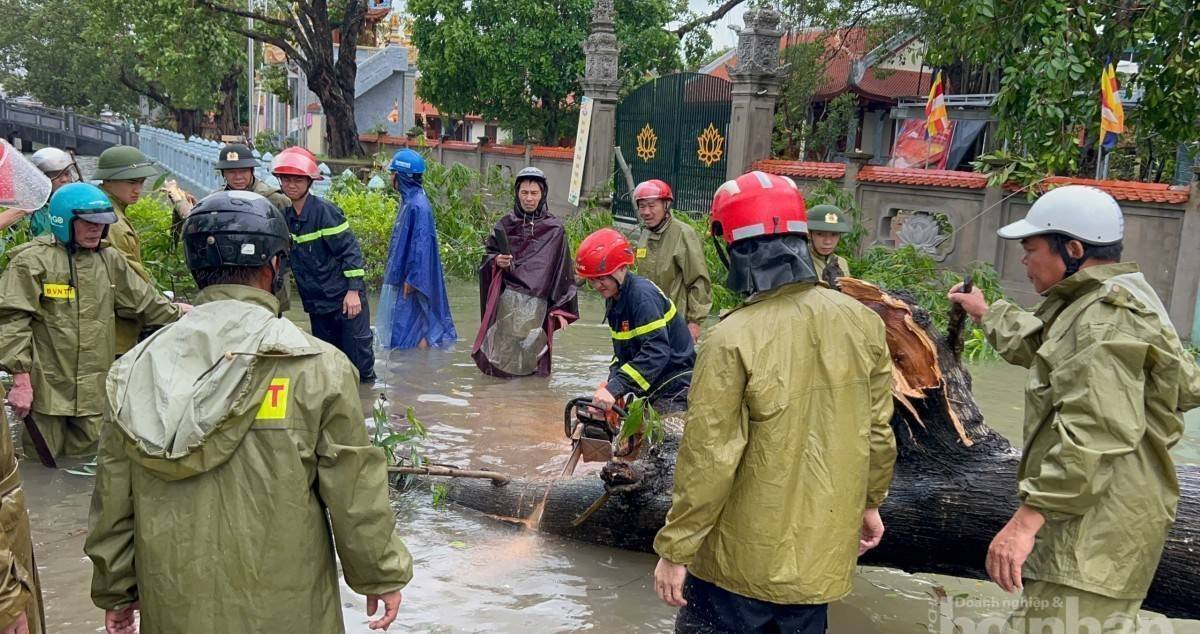 Thủ tướng Chính phủ chỉ đạo khẩn cấp tập trung cứu nạn, khắc phục hậu quả bão số 10
