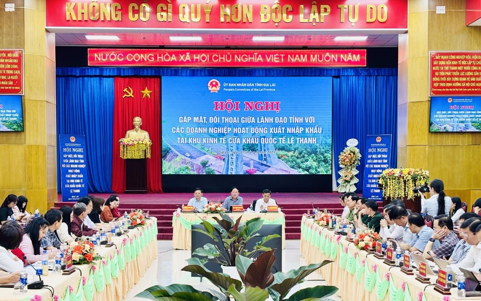 Gia Lai: Nhiều doanh nghiệp xuất nhập khẩu gặp khó tại Cửa khẩu quốc tế Lệ Thanh