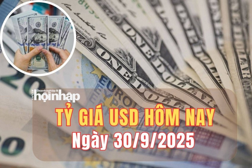 tỷ giá usd