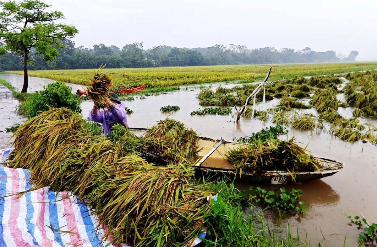 Phú Thọ khẩn trương khắc phục thiệt hại nặng nề do bão số 10