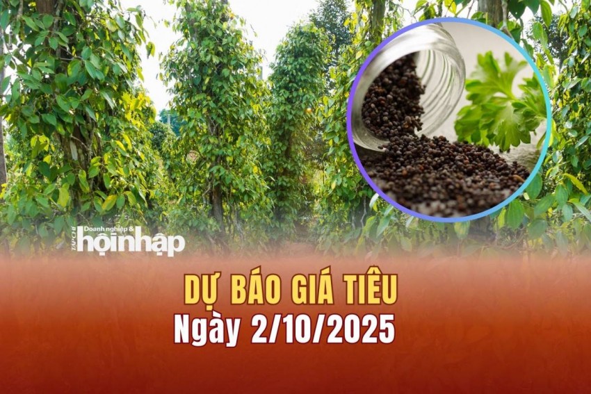 Dự báo giá tiêu 2/10/2025