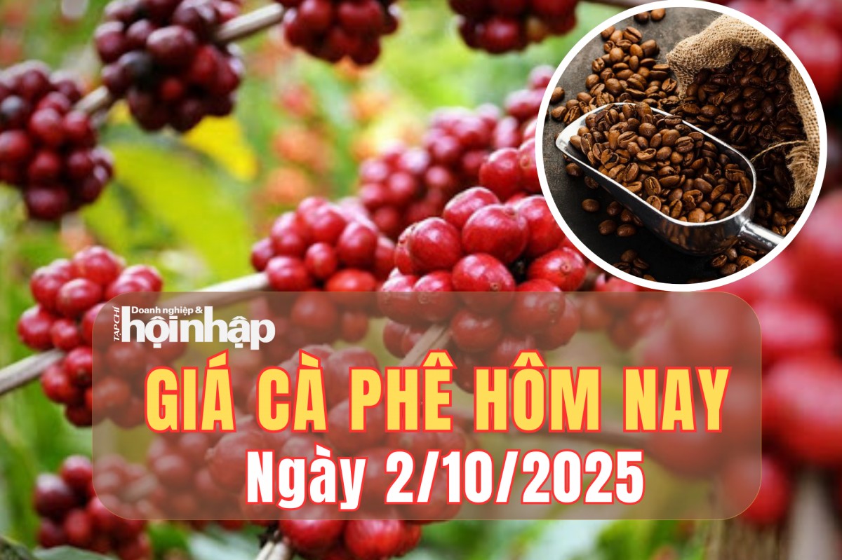 Giá cà phê hôm nay 2/10/2025: Giá cà phê thế giới tăng vọt do tồn kho giảm và thuế Mỹ - Brazil