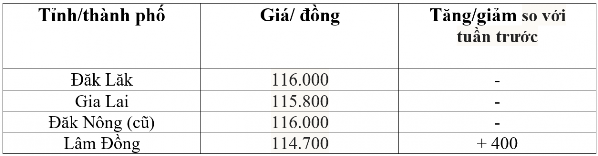 Bảng giá cà phê trong nước hôm nay 2/10/2025