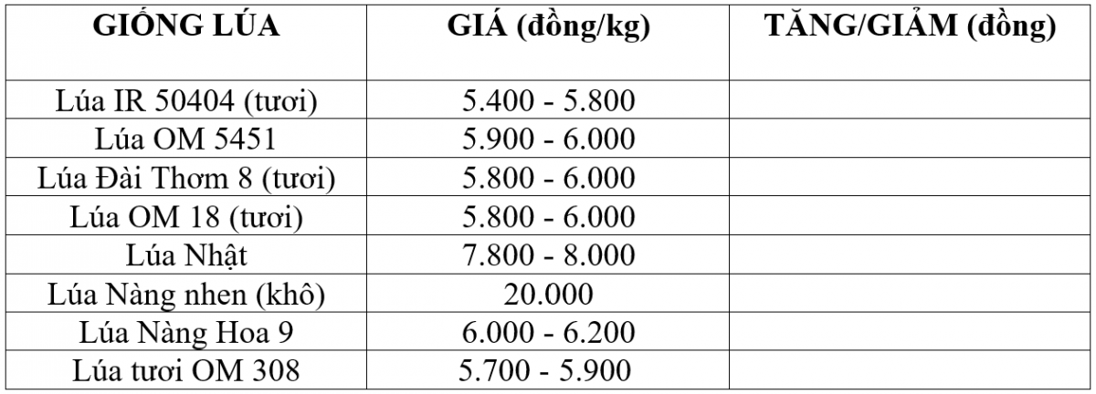 giá lúa gạo giá lúa gạo