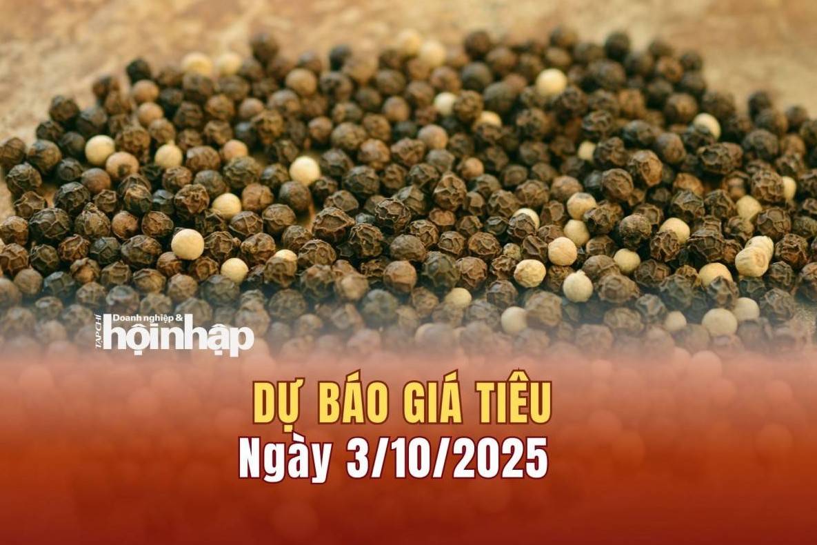 Dự báo giá tiêu 3/10: Tiêu trong nước giữ giá ở mức cao
