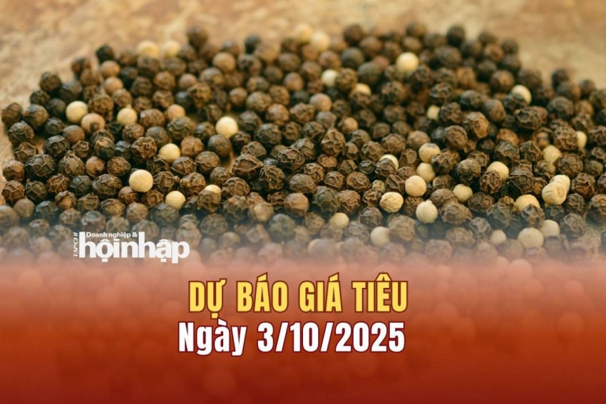 Dự báo giá tiêu 3/10/2025