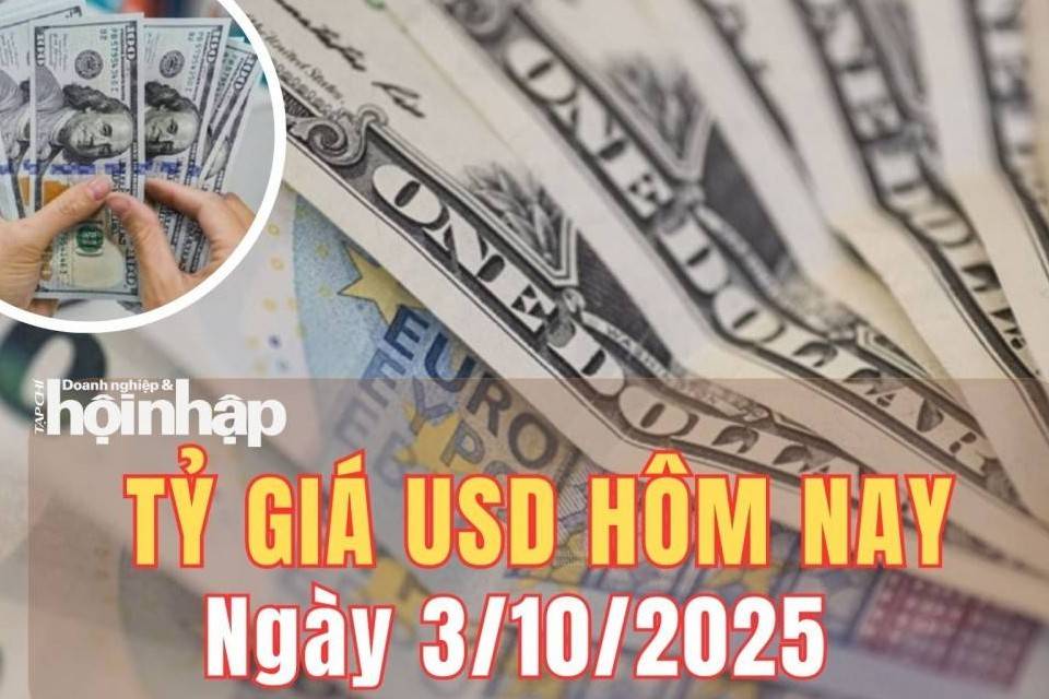 Tỷ giá USD hôm nay 3/10/2025: Đồng USD thế giới bật tăng trở lại
