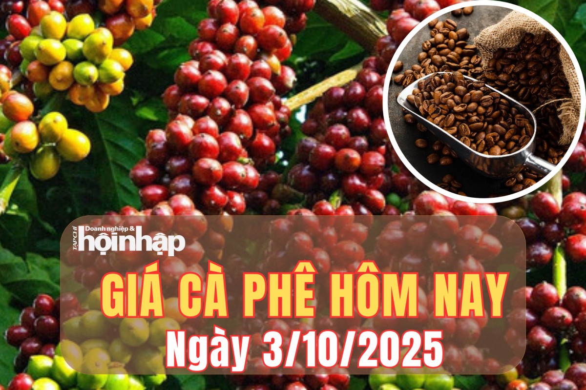 Giá cà phê hôm nay 3/10/2025: Giá cà phê trong nước tăng mạnh, thế giới đảo chiều giảm
