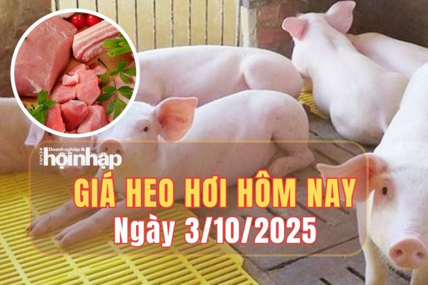giá heo hơi