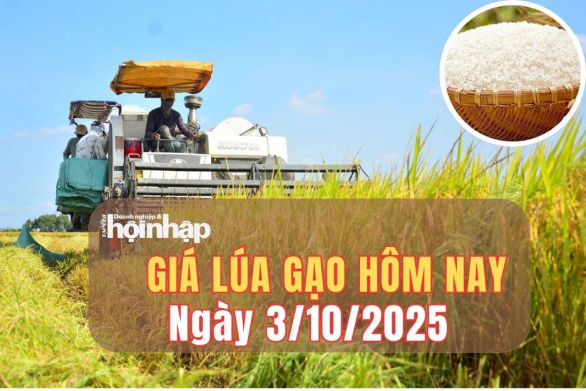 giá lúa gạo