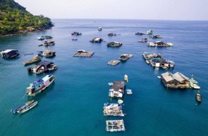 An Giang - Vựa lúa cả nước với 3 đặc khu quan trọng, điểm tựa phát triển mạnh kinh tế biển đảo