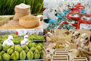 Xuất khẩu nông, lâm, thủy sản 9 tháng tăng trưởng hai con số, vượt 52 tỷ USD