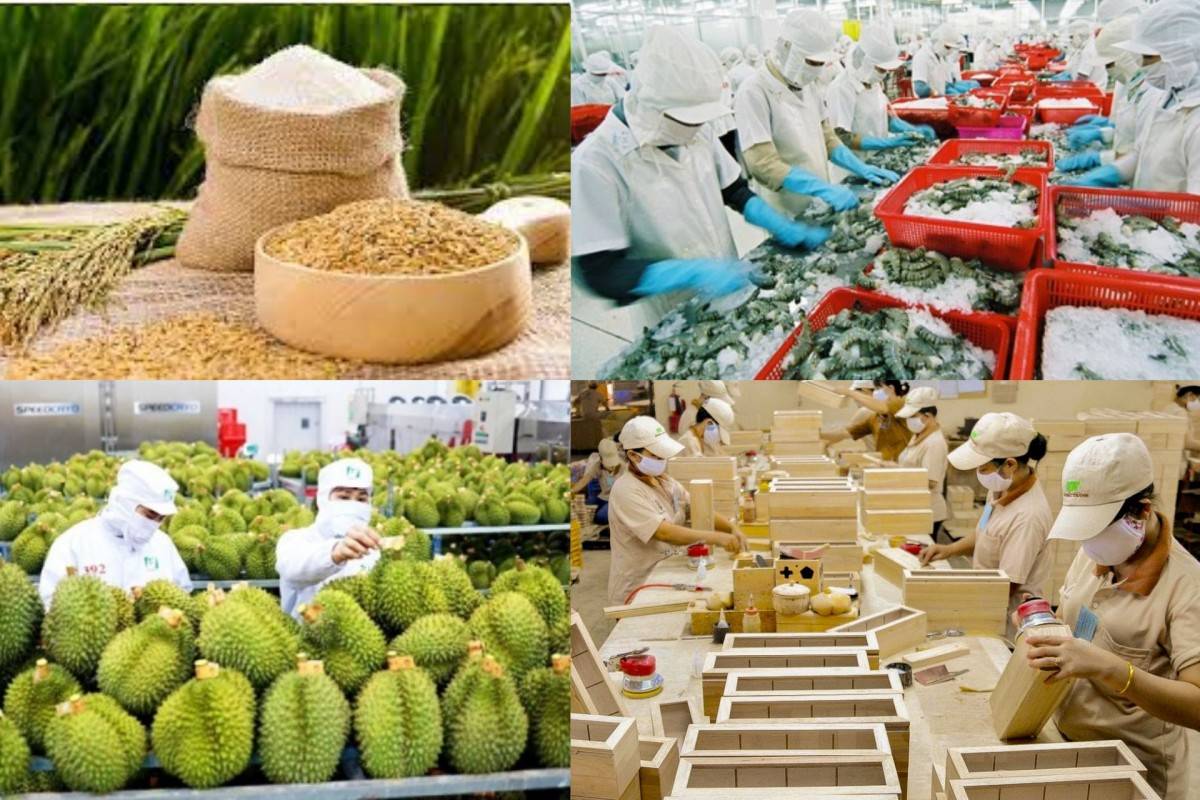 Xuất khẩu nông, lâm, thủy sản 9 tháng tăng trưởng hai con số, vượt 52 tỷ USD