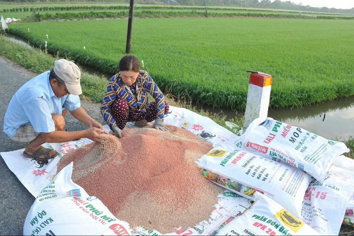 Giá phân bón có thể đảo chiều giảm trong 2026, lợi nhuận doanh nghiệp khó tránh áp lực