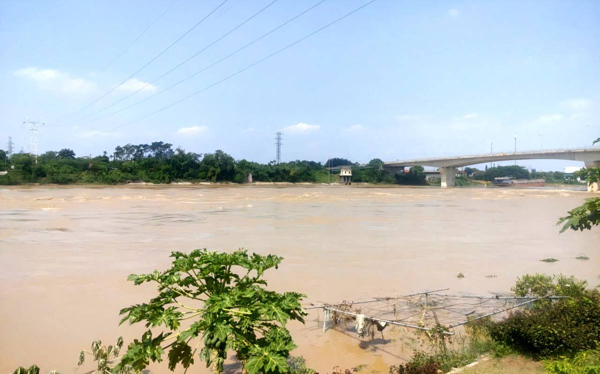 Phú Thọ: Cấm tàu thuyền hoạt động trên sông Lô do mưa lũ nguy hiểm