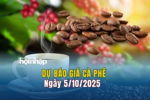Dự báo giá cà phê 5/10: Cà phê trong nước tăng “vùn vụt”