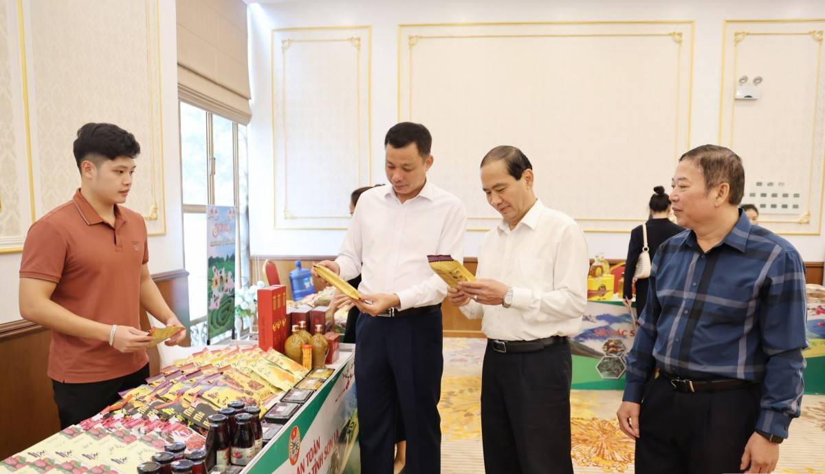 Kết nối doanh nghiệp – hợp tác xã: Thúc đẩy chuỗi giá trị nông sản Sơn La