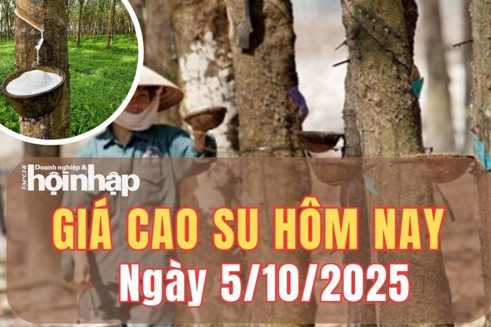 Giá cao su hôm nay 5/10/2025: Giá cao su chốt tuần giảm nhẹ