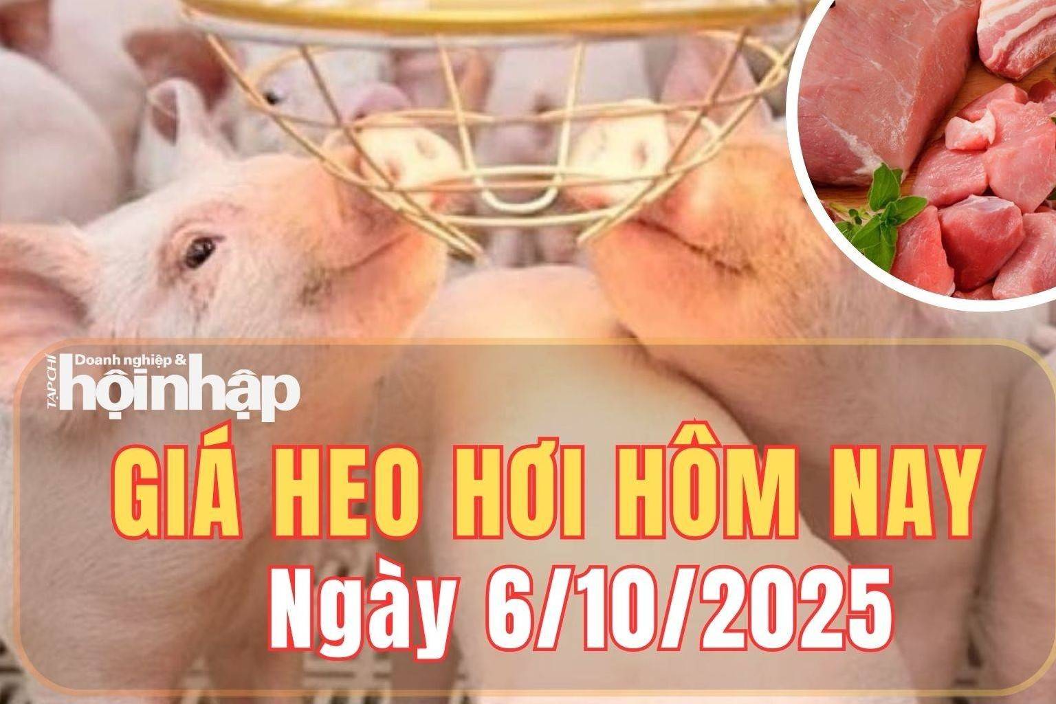 Giá heo hơi hôm nay 6/10/2025: Giá heo hơi ổn định trên cả nước