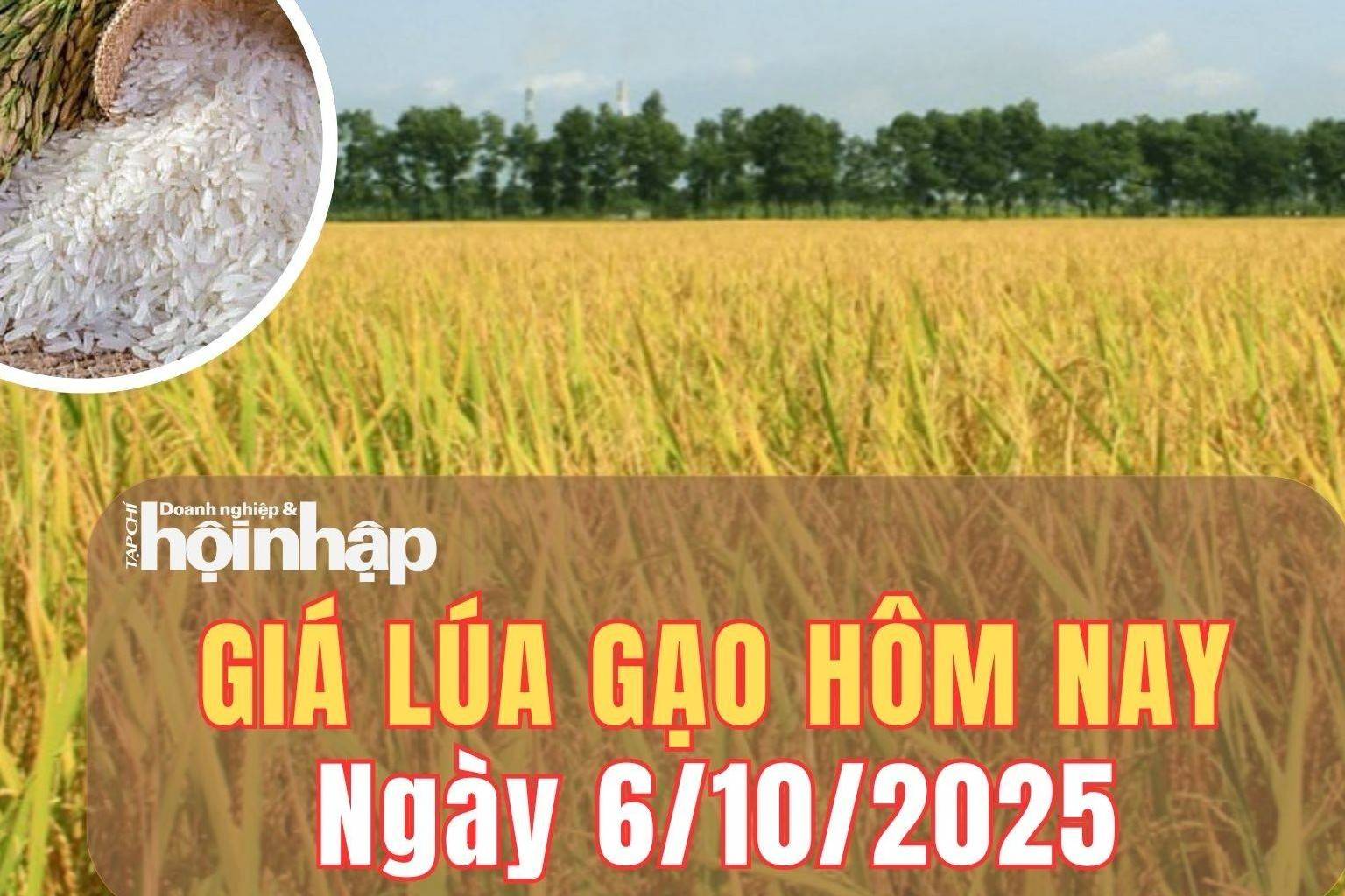 Giá lúa gạo hôm nay 6/10/2025: Giá lúa gạo trong nước và xuất khẩu chững lại sau giai đoạn sôi động