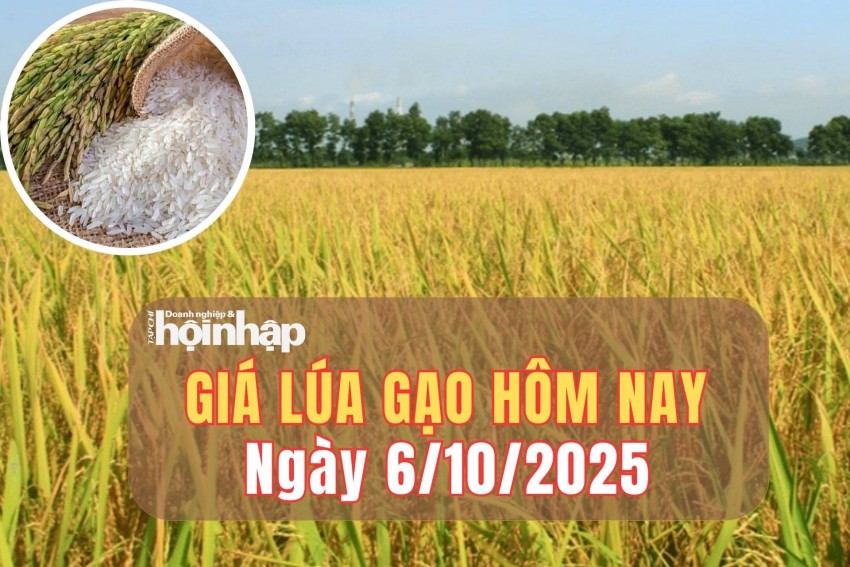 Giá lúa gạo hôm nay 6/10/2025: Giá lúa gạo trong nước và xuất khẩu chững lại sau giai đoạn sôi động