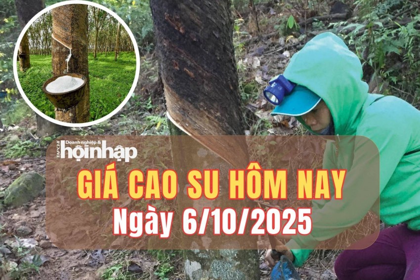 Giá cao su hôm nay 6/10/2025: Giá cao su thế giới biến động mạnh